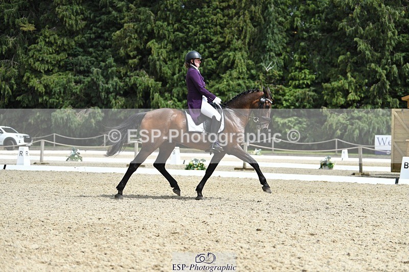 230812-134328-04490 - Cls 7 FEI PSG Bronze