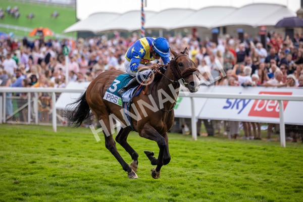 170623-Race 7-The Green Man-3239 - Race 7 5.25pm Clean Up With PPS Handicap