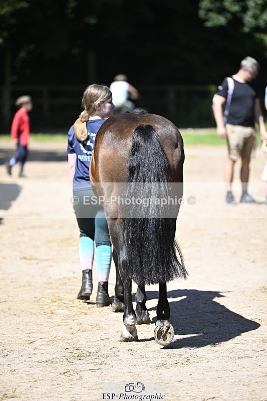 240728B-115243-00345 - Sunday Stable Shots and Fancy Dress