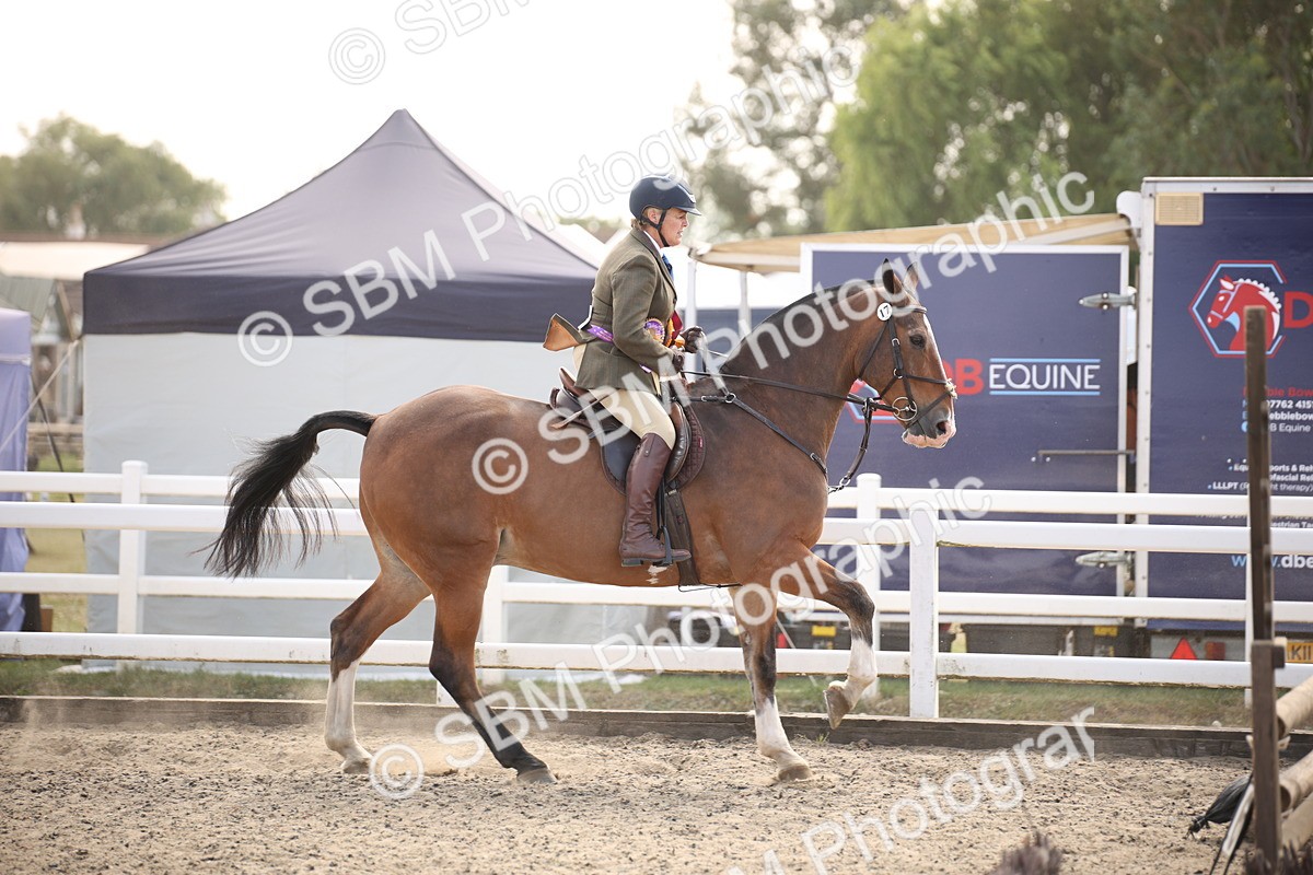 SBM_15087 - Class 408a - Working Veteran 70cm (15-19