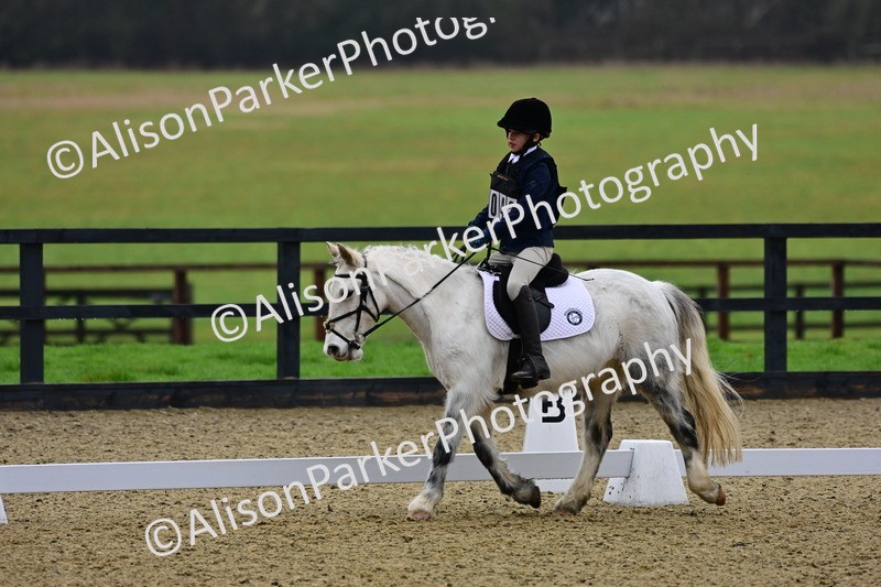 20260125-0528 - Class 9b - Walk Trot Unassisted