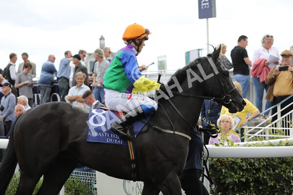 yr19082022r3-10 - Race 3 3.00pm Al Basti Equiworld Dubai Gimcrack Stakes