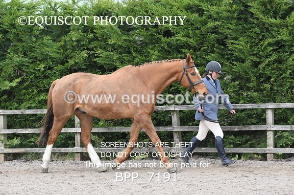 BPP_7191 - RING 1  (RIDDEN HORSES / IN HAND / VETERAN ETC)