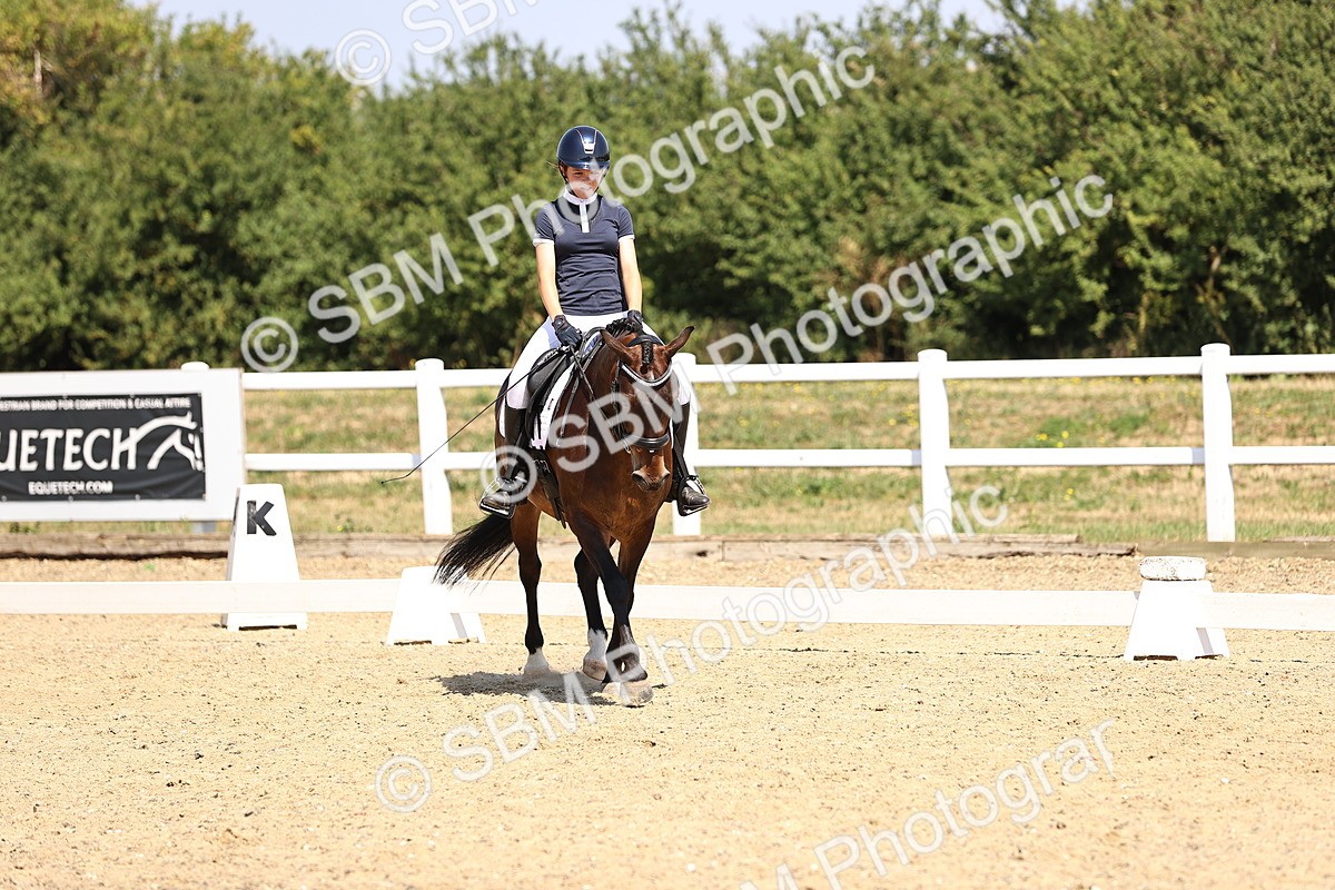 SBM_003930 - Intro 2