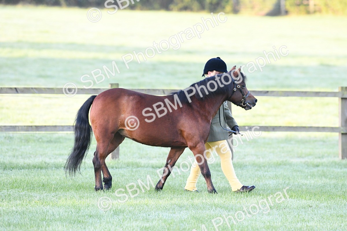 SBM_32414 - S15 - Condition & Turnout In Hand