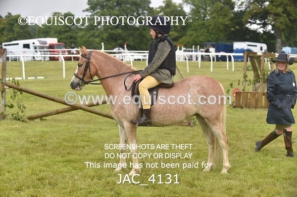 JAC_4131 - 40CM WORKING HUNTER