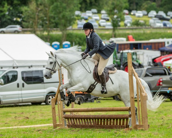 Dunblane show-240 - Dunblane and Doune Show Ring 1