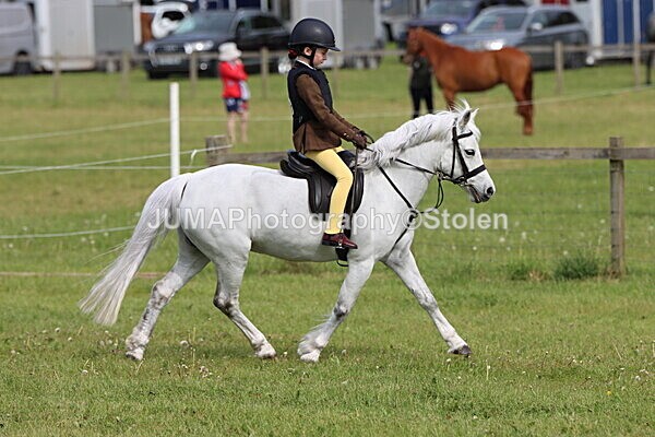 IMG_2224 - Working Hunter