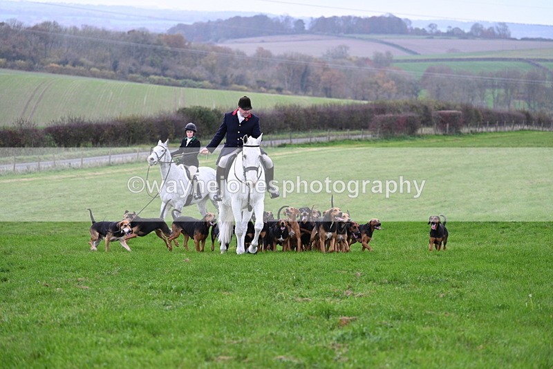 WJ7_8851 - Meet Staff & Hounds