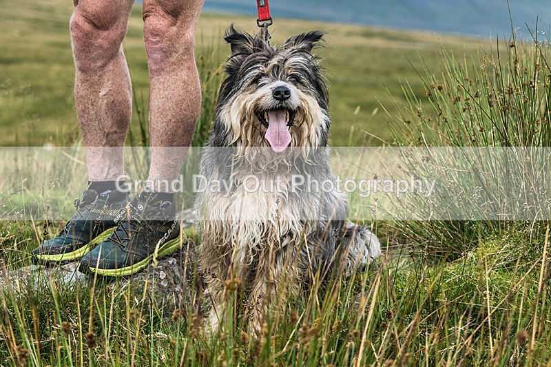 Ingleborough-185 - Ingleborough Mountain Race Saturday 20th July 2024
