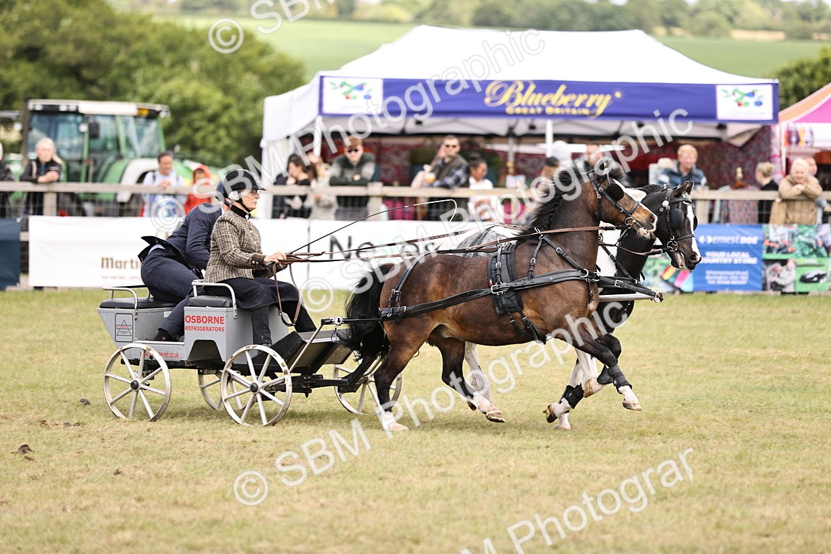 SBM_16015 - Class 91 - Scurry  exceeding 122cms