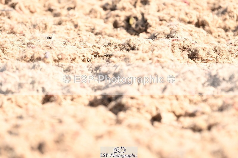 240621A-094153-01589 - Cls 2 BD Prelim 19