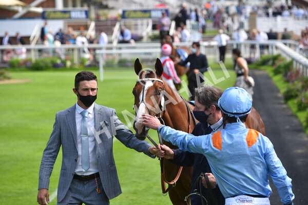 yr09072021r3-5 - Race 3 3.15pm William Hill Pick Your Places Irish EBF Novice Stakes