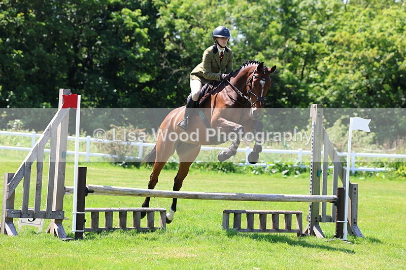 3E7A7083 - Class 30: Novice Working Hunter