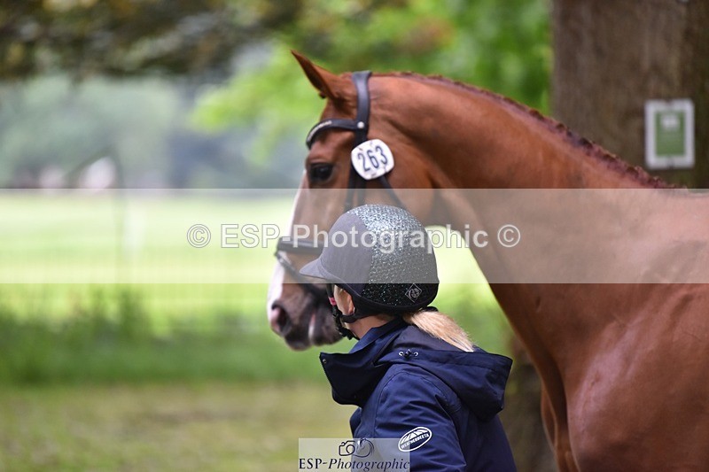 240522-165008-01188 - 263-CHILLI_MORNING_IV-Gemma_Stevens