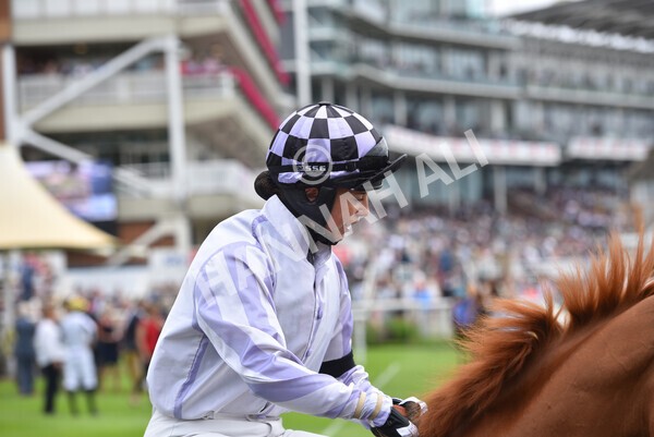 yr24072021r1-41 - Race 1 2.05pm Sky Bet Jump Jockeys Nunthorpe