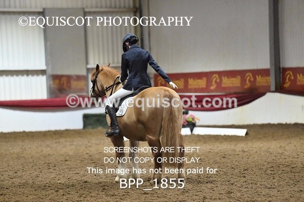 BPP_1855 - INTRO TEST 2