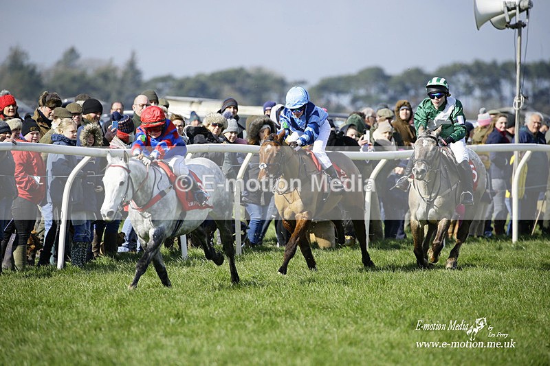 PtP 060322 77 - Blackmore & Sparkford Vale Hunt PtP 06/03/22