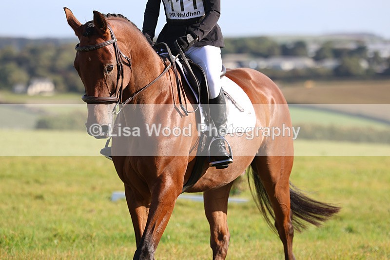 3E7A5690 - Class 1: Trebudannon Open: Dressage