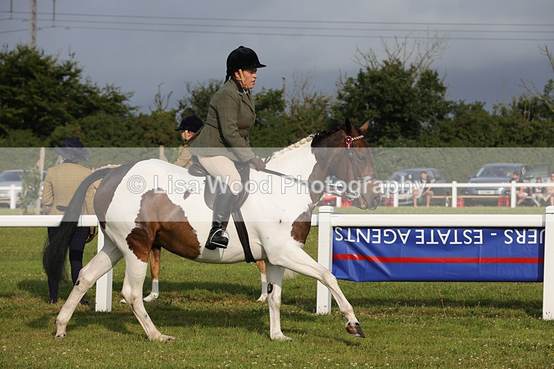 1X9A2858 - Class 25: Ridden Plaited Coloured Horse