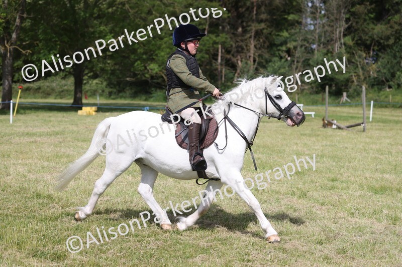 20260614-0717 - Class 20 - Beginners Working Hunter Pony