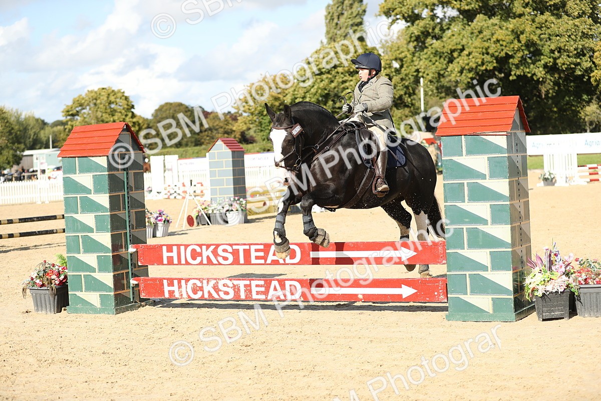 SBM_49577 - J22 - Junior Horse 65cm Championship