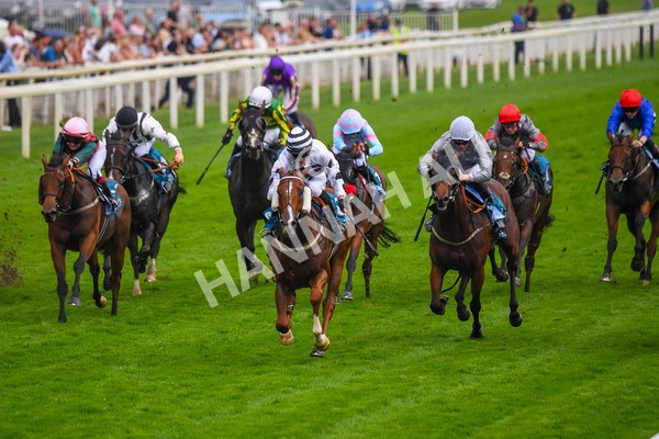 100923-Race 7-Looking For Lynda-1233 - Race 7 4.55pm Brian Taylor 50 Not Out Apprentice Handicap