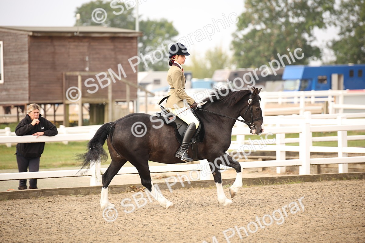 SBM_09763 - Class 401 Riding Club Pony