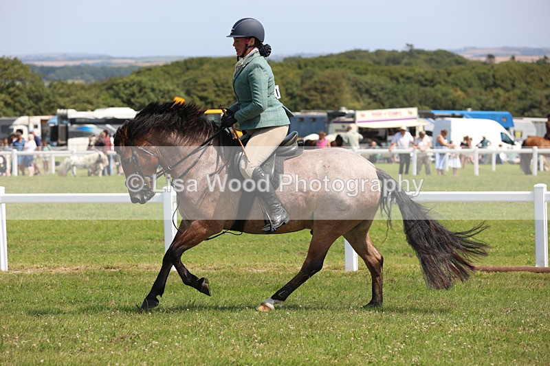 JPP_3263 - Class 22: Working Hunter 70cm