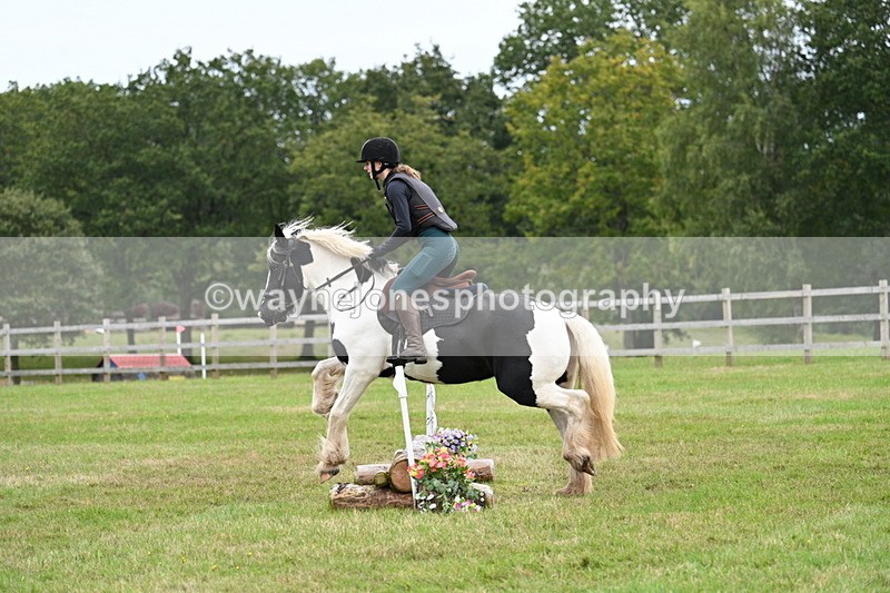 WJ7_7764 - 40cm Time 10:49 to 11:18