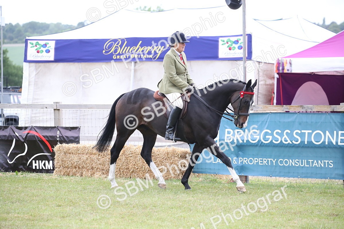 SBM_11408 - Class 94 - LIHS BSHA Racehorse to Showhorse