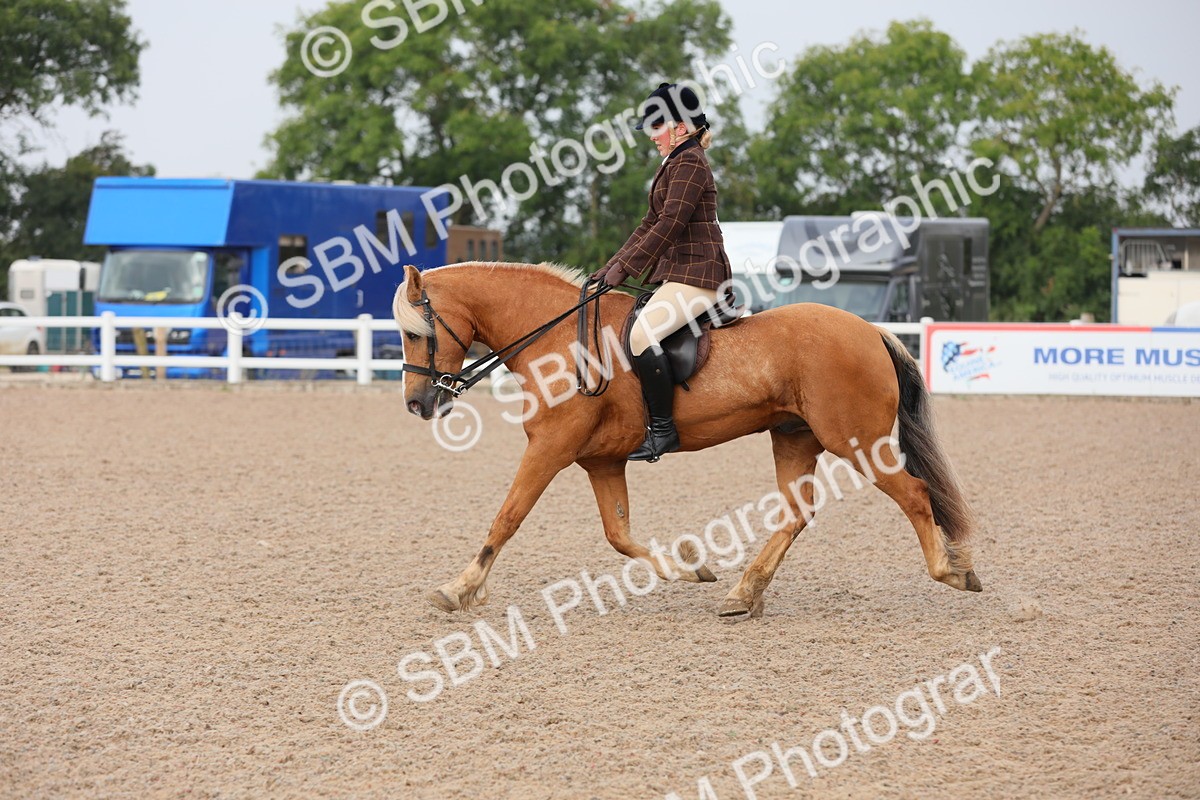 SBM_10027 - Class 302 Ridden M&M -Large Breeds