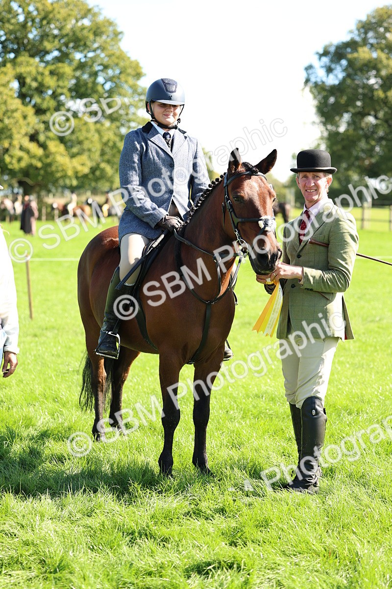 SBM_45441 - S33 - Working Hunter Pony
