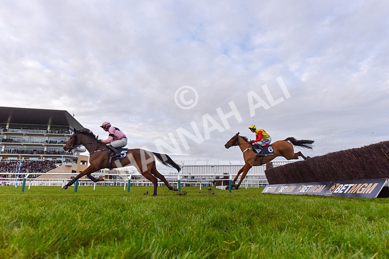 141224-Race 5-Issar DAiry-9446 - Race 5