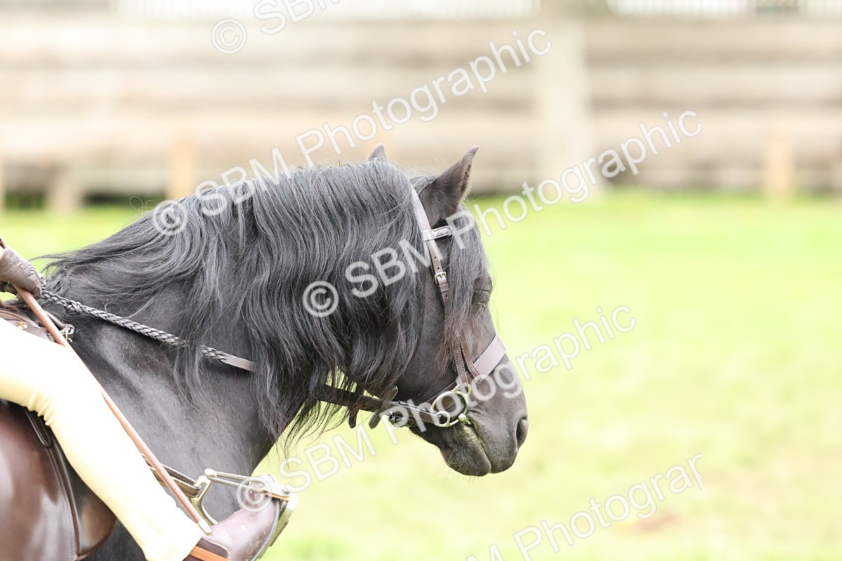 SBM_67490 - S61 - Mountain & Moorland Ridden