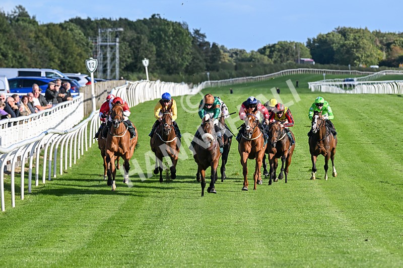 080926-Race 7-Military Girl-3292 - Race 7 5.21pm RMG Proudly Supports Teenage Cancer Trust Handicap
