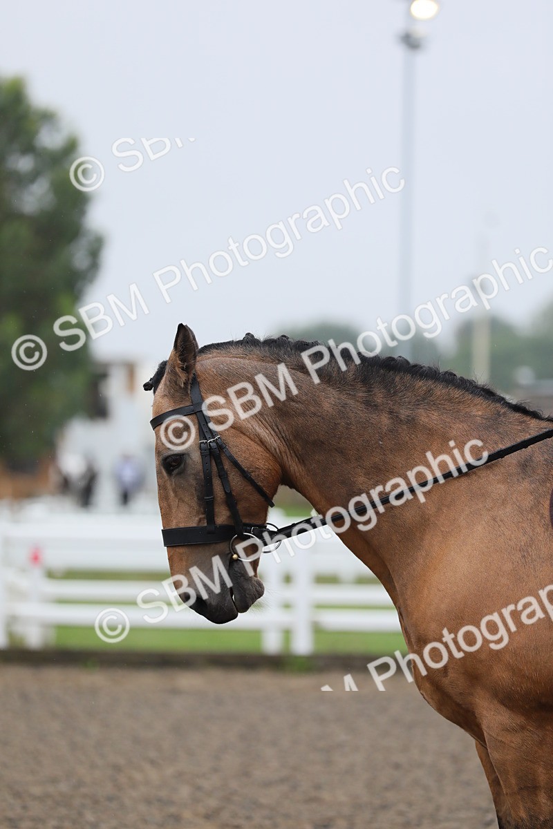SBM_19908 - Class 801 - Ridden Veteran