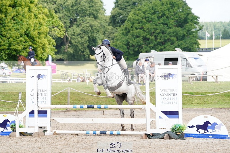 250615A-092244-09826 - Class 43 British Novice 90cm Open