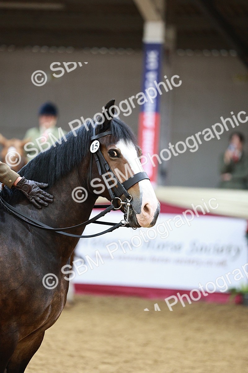 SBM_03588 - Class 6A Area Ridden Pre-Vet
