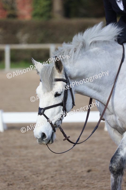 20260228-0464 - Class 4 - Prelim 2