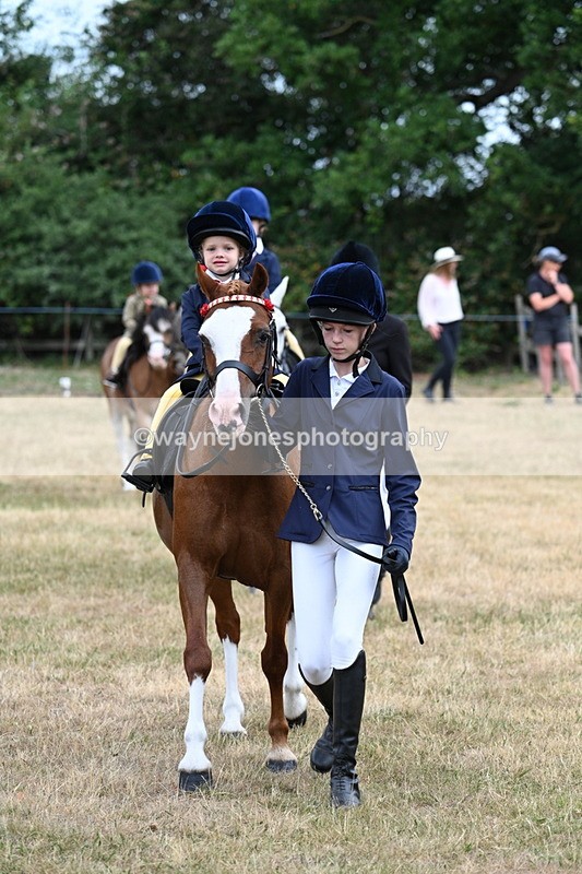 WJ7_9562 - Class 1 Lead Rein Pony