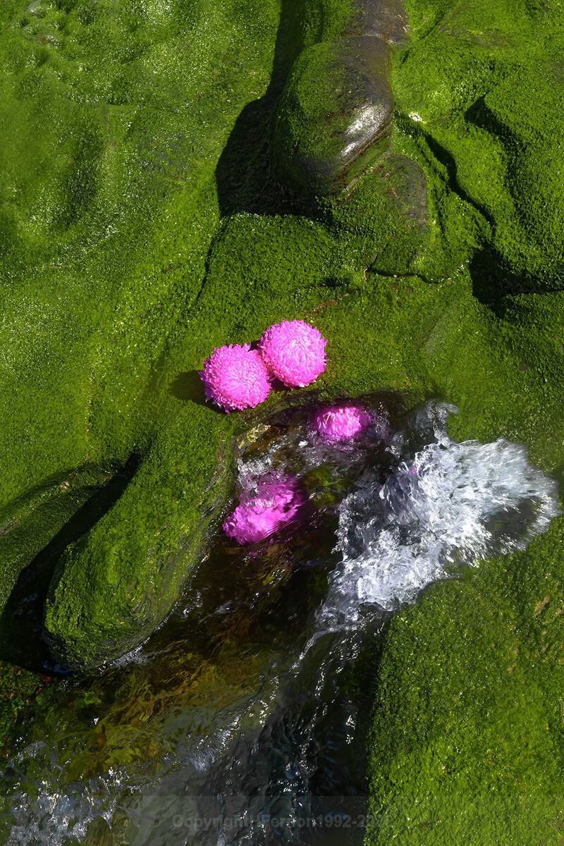 ENTROPY TRIPTYCH Xlll-XV - ENTROPY 2023