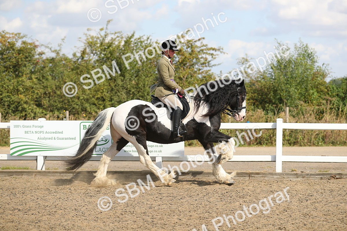 SBM_03314 - Class 44 Riding Club Horse/ Pony