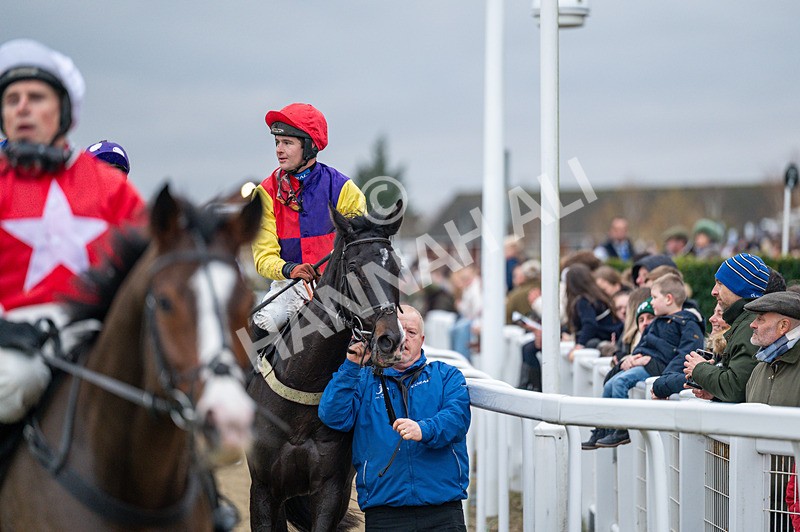 161125-Race 5-Alexei-1797 - Race 5