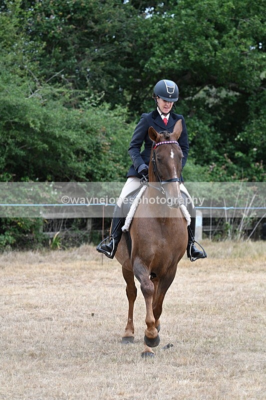 WJ7_0840 - Class 7 Riding Club Show Horse