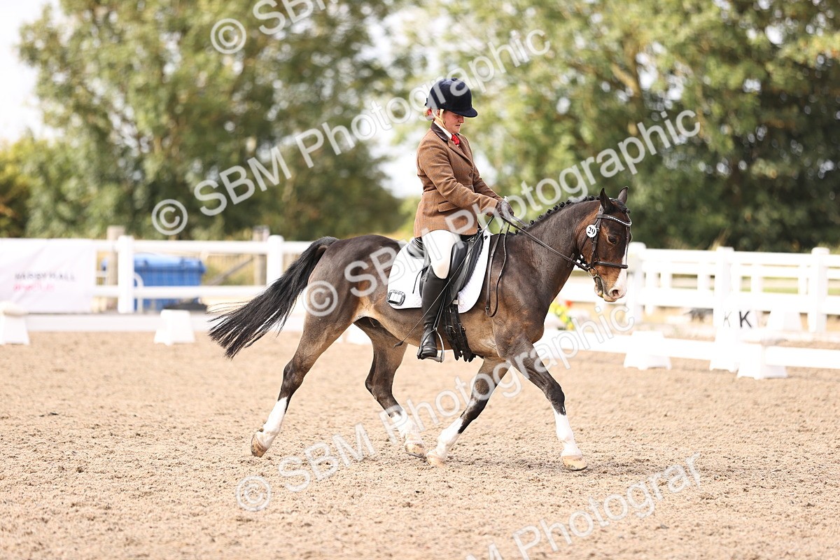 SBM_06063 - Class 37 Novice 5