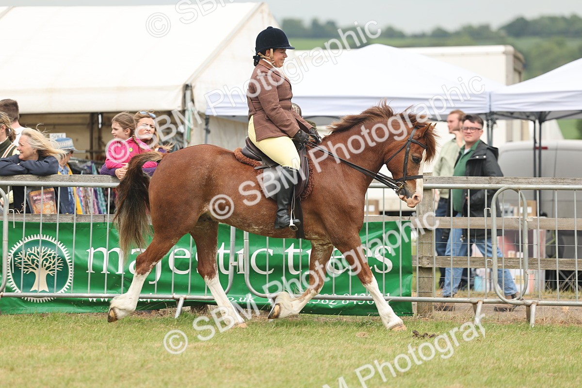 SBM_07160 - Class 76-77 - Ridden M&M Welsh Ponies