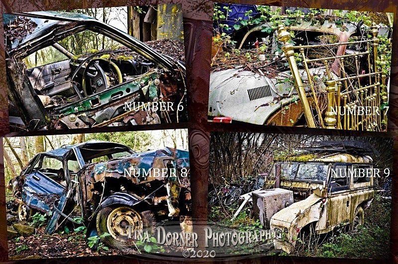 Abandoned cars by Tina Dorner Photography, Forest of Dean and Wye Valley, Gloucestershire