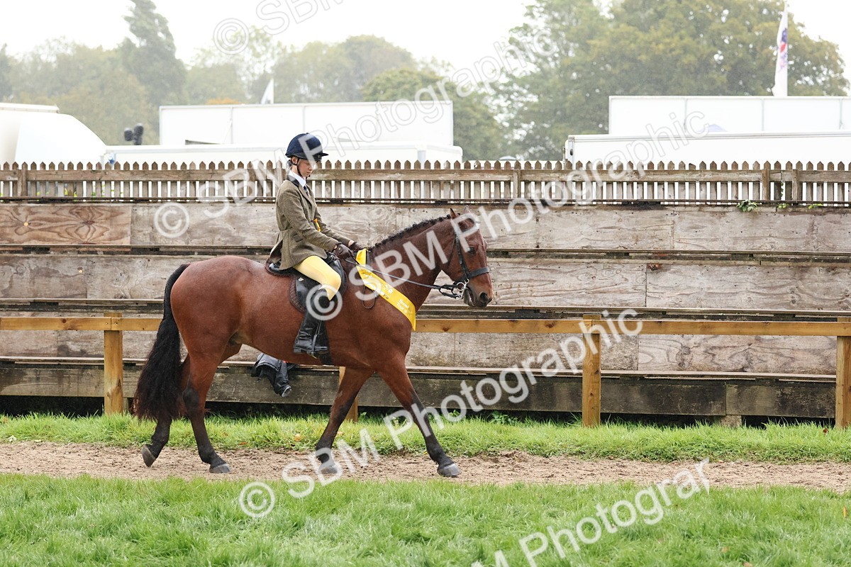 SBM_73095 - Ridden Pony Supreme Championship