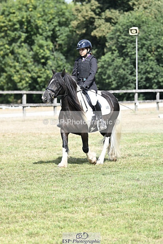 250821A-114126-15284 - DR 11.00 to 12.00